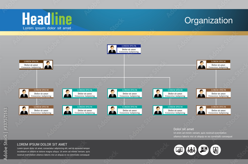 Organization Chart Infographics , vector design