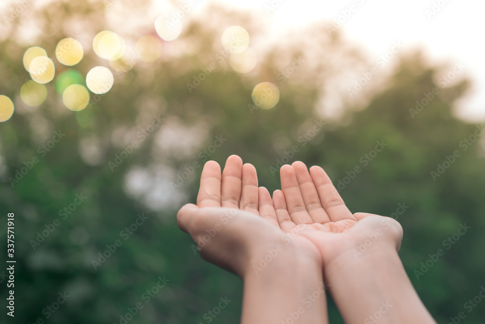 Woman hands place together like praying in front of nature green background. Woman hands place together like praying in front of nature green background.