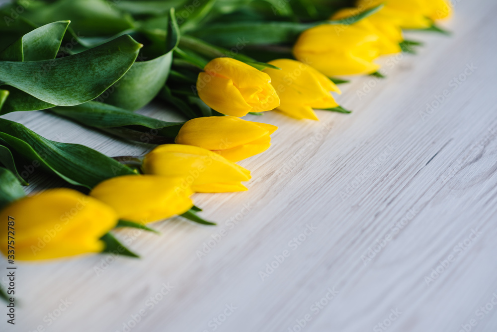 Obraz premium Row of yellow tulips on white rustic wooden background with space for message. Concept Hello Spring flowers. Holiday greeting card for Valentine's, Women's, Mother's Day, Easter! Side view.