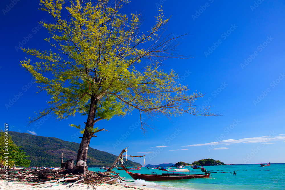 Beautiful tropical Thailand island panoramic with beach, white sea and coconut palms for holiday vacation background concept