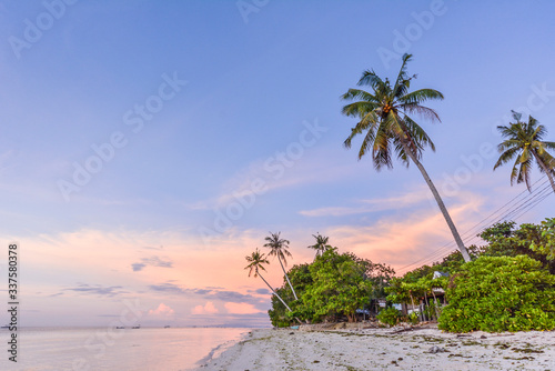 White sand beach in Panglao island at 5am in the morning. Hanging Coconut trees photo