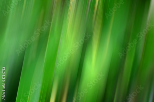 Colourful abstract and blurred background.