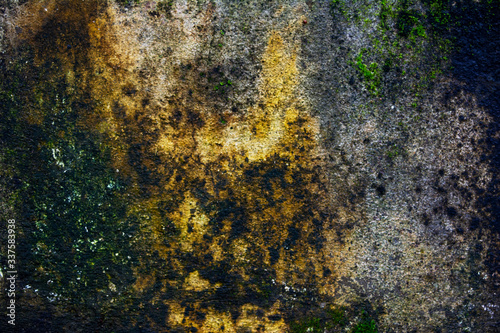 Green moss on concrete wall - background