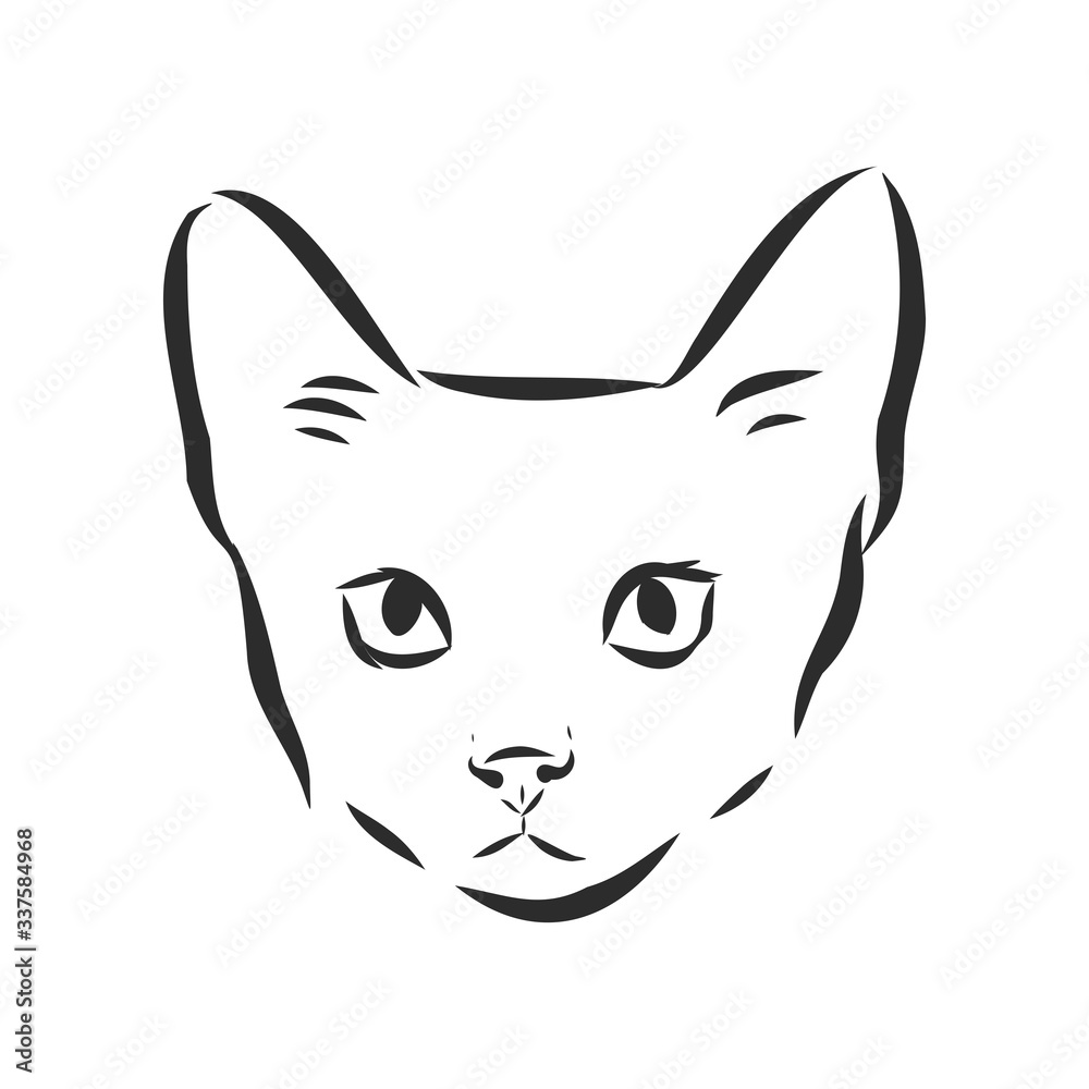 portrait of a cat, domestic cat, vector illustration of a sketch portrait of a cat, domestic cat, vector illustration of a sketch
