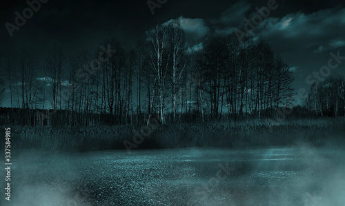 Dark gloomy forest. Night i...