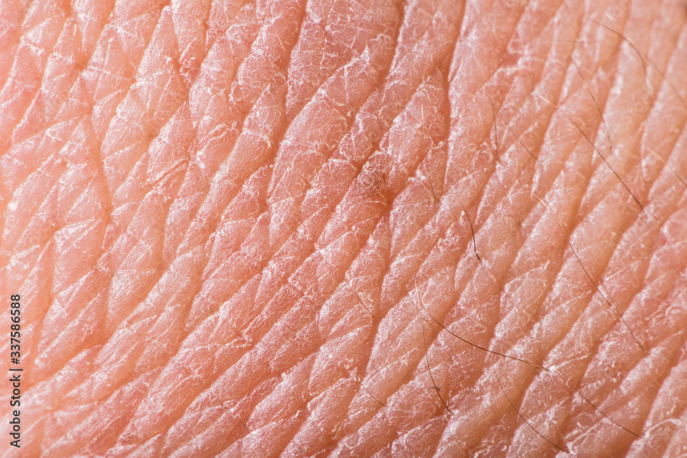 Texture of human skin Texture of human skin