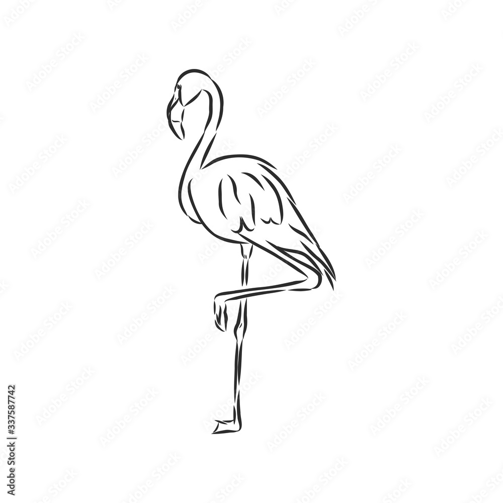 Naklejka premium flamingo hand drawn vector llustration realistic sketch illustration