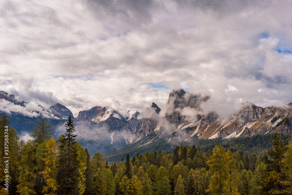 A panoramic view of a valley with autumn color pines trees and The Dolomites mountain range landscape in the background. A scenic view taken from Monte Cristallo near Cortina.