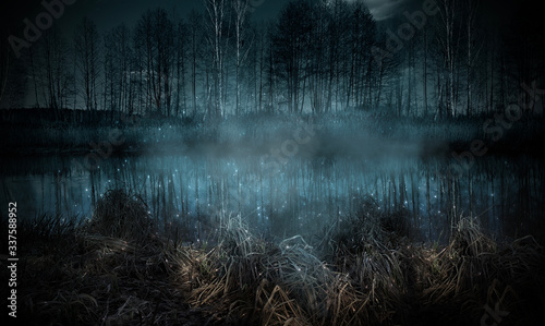 Dark gloomy forest. Night i...