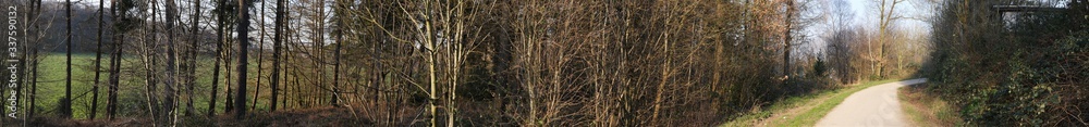 Small copse, the trees still without leaves, in the background a meadow shines through and on a forested hill, in the right side an agricultural utility path, also used as a bicycle path Small copse, the trees still without leaves, in the background a meadow shines through and on a forested hill, in the right side an agricultural utility path, also used as a bicycle path