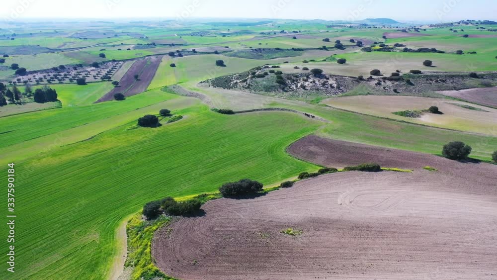 Aerial view from a drone of olive and cereal fields in the province of Toledo, Autonomous Community of Castilla La Mancha, Spain, Europe