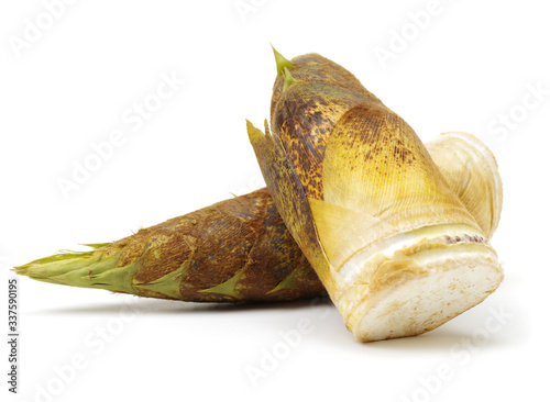Bamboo shoot on the white background 