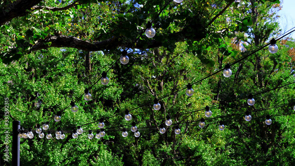 Fototapeta premium Vintage light bulbs hanging on cable decorated for festival in park