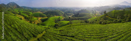 Aerial view of Long Coc tea hill, green landscape background, green leaf. Tan Son, Phu Tho, Viet Nam