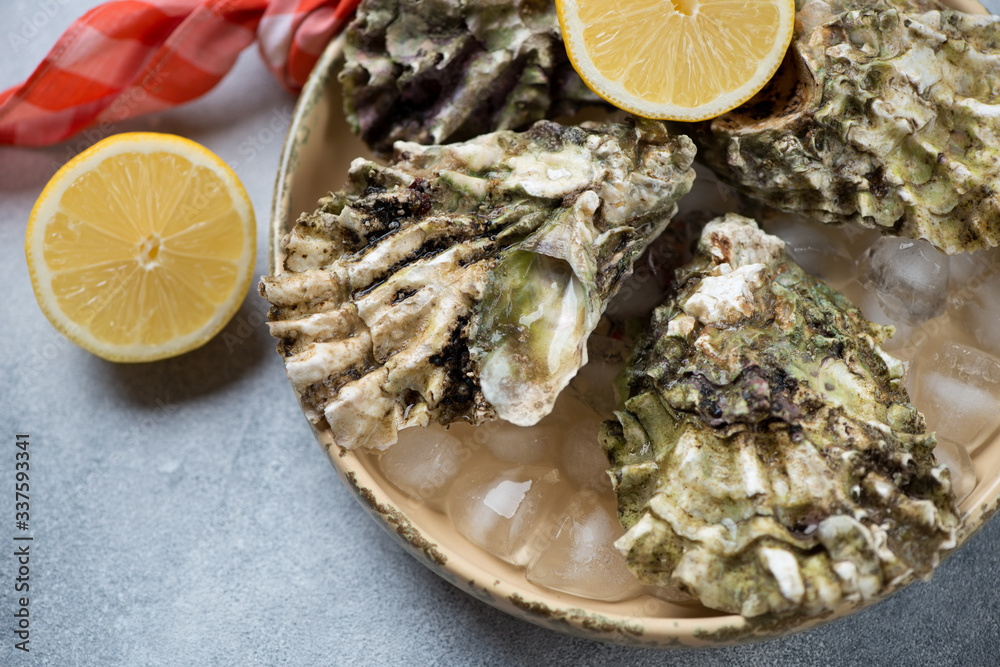 Close-up of unopened iced oysters with lemon in a serving pan, selective focus Close-up of unopened iced oysters with lemon in a serving pan, selective focus