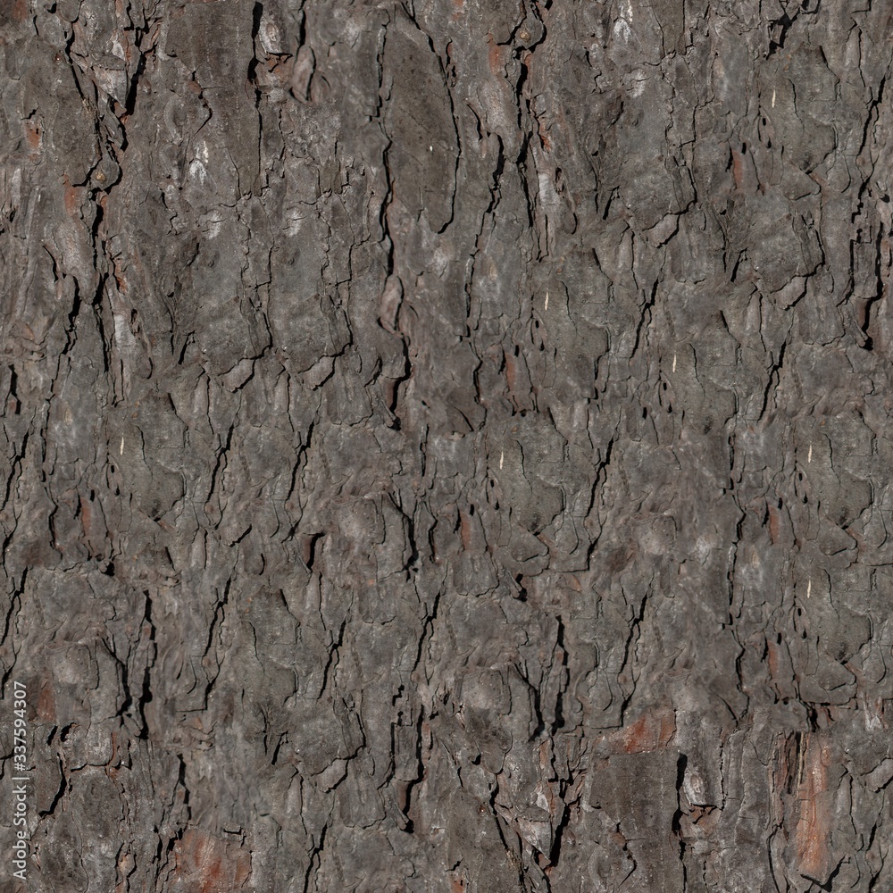 Tree bark seamless texture with detailed wooden pattern macro Tree bark seamless texture with detailed wooden pattern macro