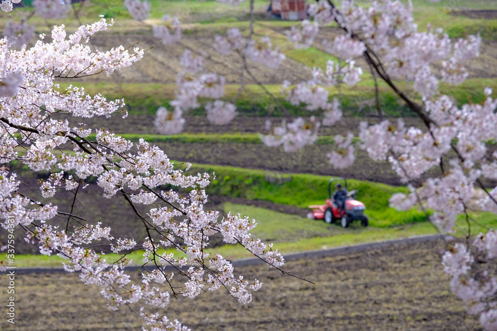 春の風景