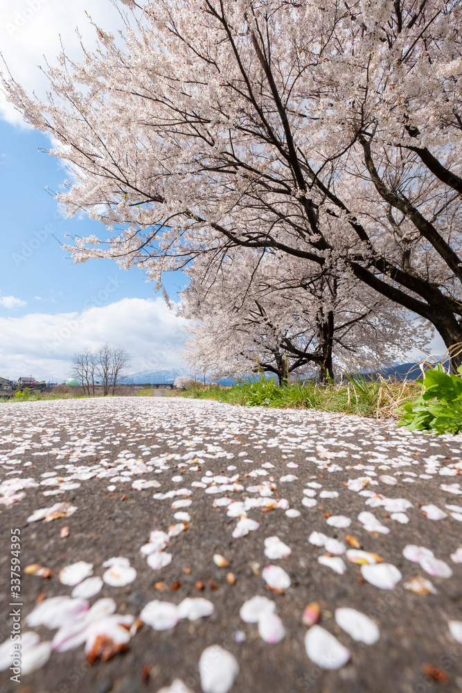 春の風景