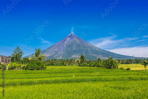 Rice fields near Mt. Mayon - also known as Mayon Volcano or Mount Mayon. Found in the Bicol Region in the Philippines. Symmetrical volcano photo