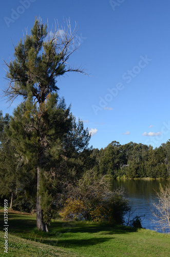 Photography A view of the Nepean River at Penrith in Sydney's west