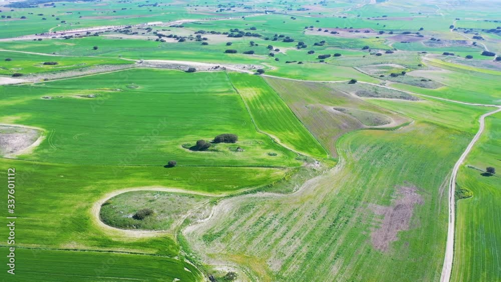 Aerial view from a drone of olive and cereal fields in the province of Toledo, Autonomous Community of Castilla La Mancha, Spain, Europe