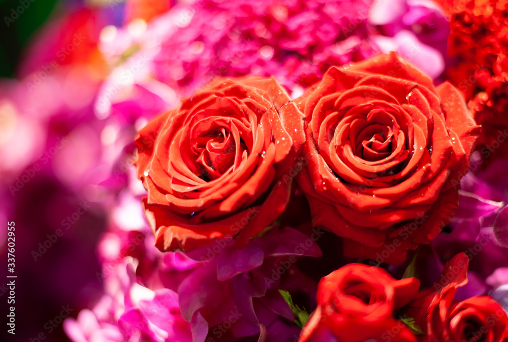 Bouquet of fresh roses, flower bright background. Bouquet of fresh roses, flower bright background.