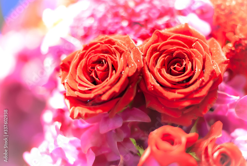 Bouquet of fresh roses  flower bright background.