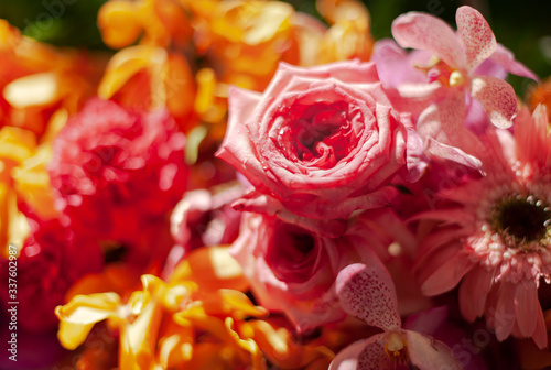 Fototapeta Naklejka Na Ścianę i Meble -  Bouquet of fresh roses, flower bright background.