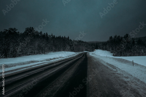 winter road, night, track © irina