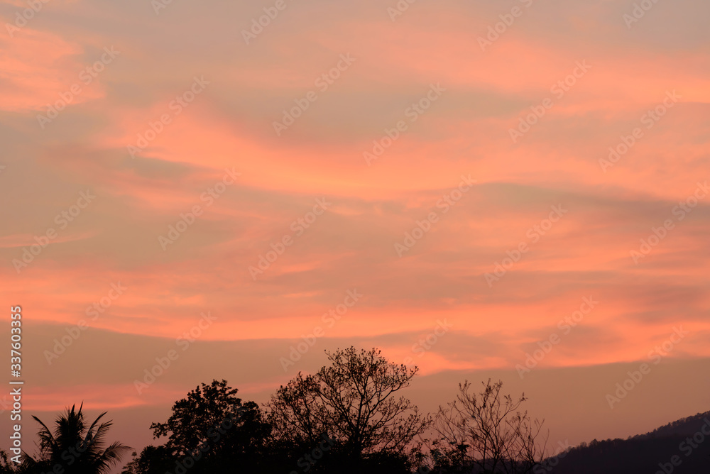 Beautiful twilight sky with clouds after sunset in the evening above the trees