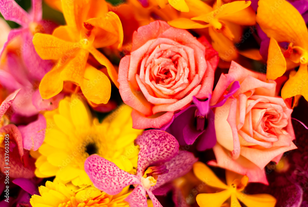 Fototapeta premium Bouquet of fresh roses, flower bright background.