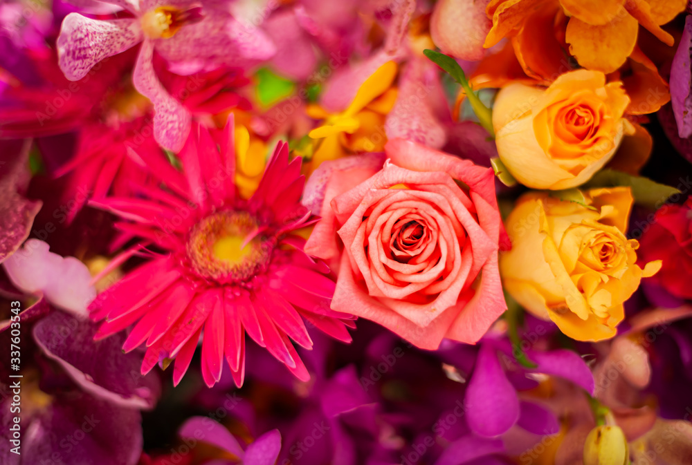 Fototapeta premium Bouquet of fresh roses, flower bright background.