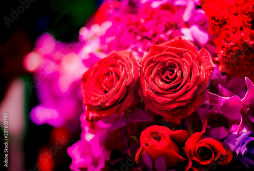 Bouquet of fresh roses  flower bright background.