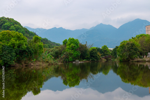 reflection of trees in the river