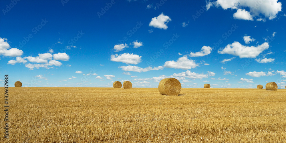 haystack harvested in cereal field 