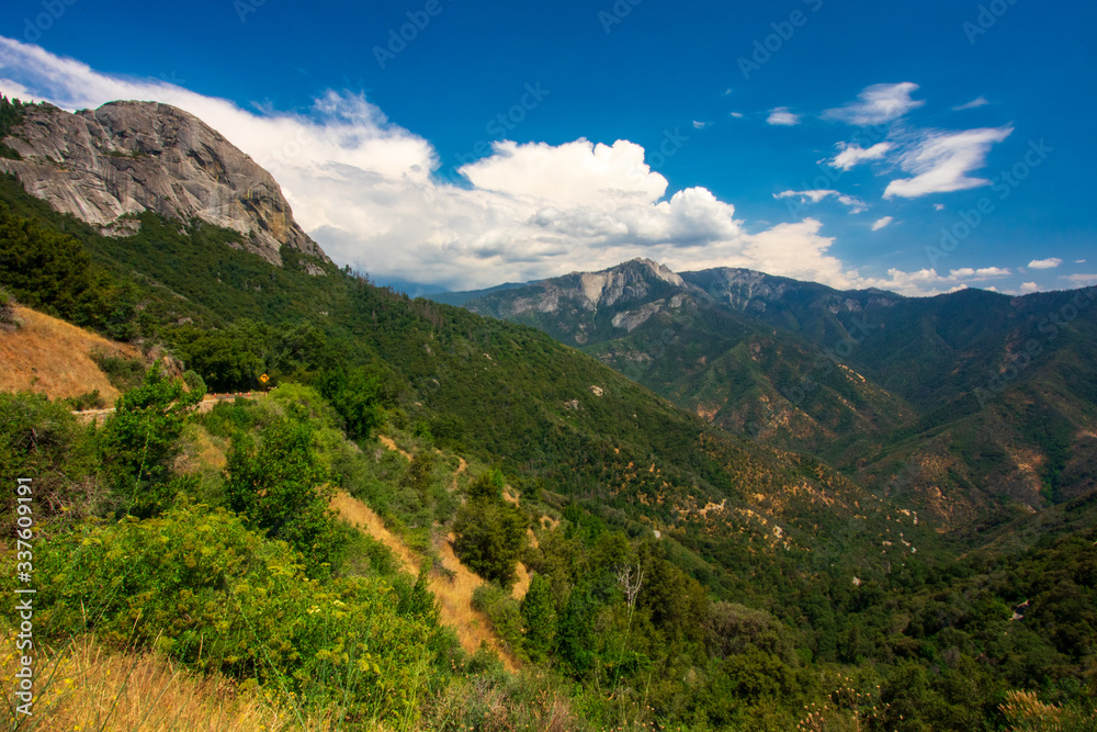 Obraz premium The view of Sequoia National Park, United States