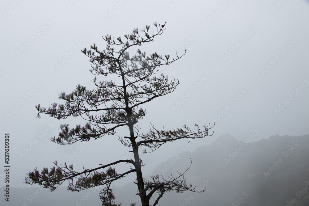 Obraz premium mountain