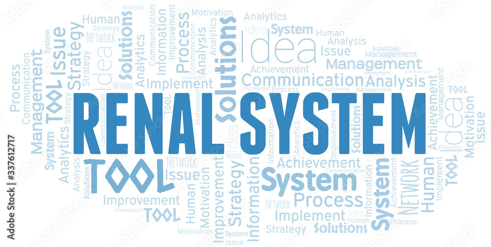 Fototapeta premium Renal System typography vector word cloud.