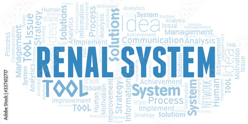 Renal System typography vector word cloud.