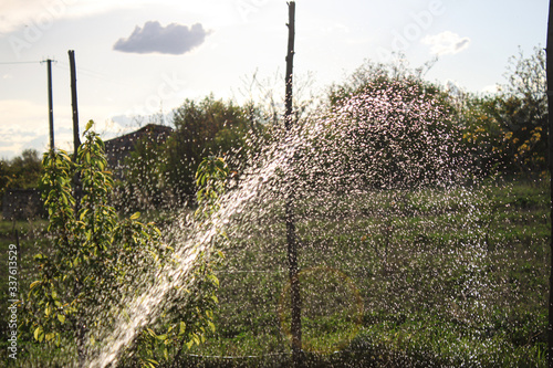 Fountain on a background of green trees