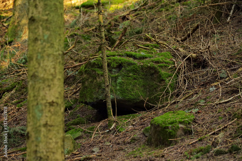 Out and about in the Black Forest