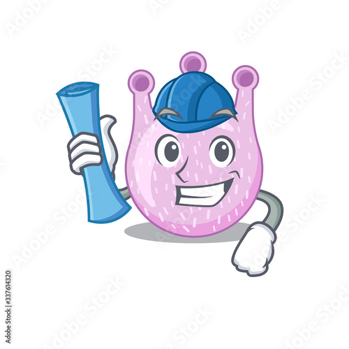 Cartoon character of viridans streptococci brainy Architect with blue prints and blue helmet