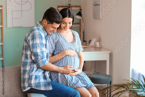 Portrait of happy pregnant ...