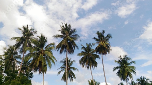Low Angle View Of Palm Trees Against Sky © ferry mae nalugon/EyeEm