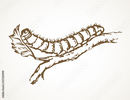 The caterpillar eats a leaf. Vector drawing