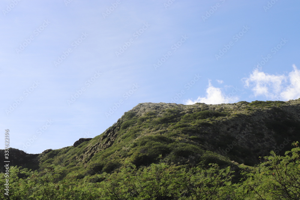 Fototapeta premium Honolulu Diamond head and Honolulu beach