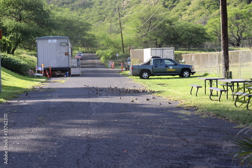 Honolulu Diamond head and Honolulu beach © PJ