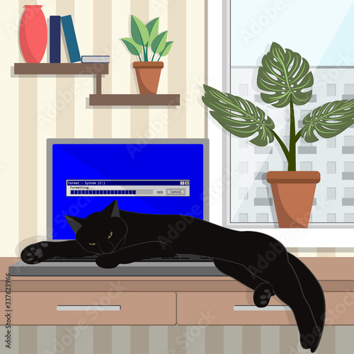 Black cat formatted drive C on a laptop