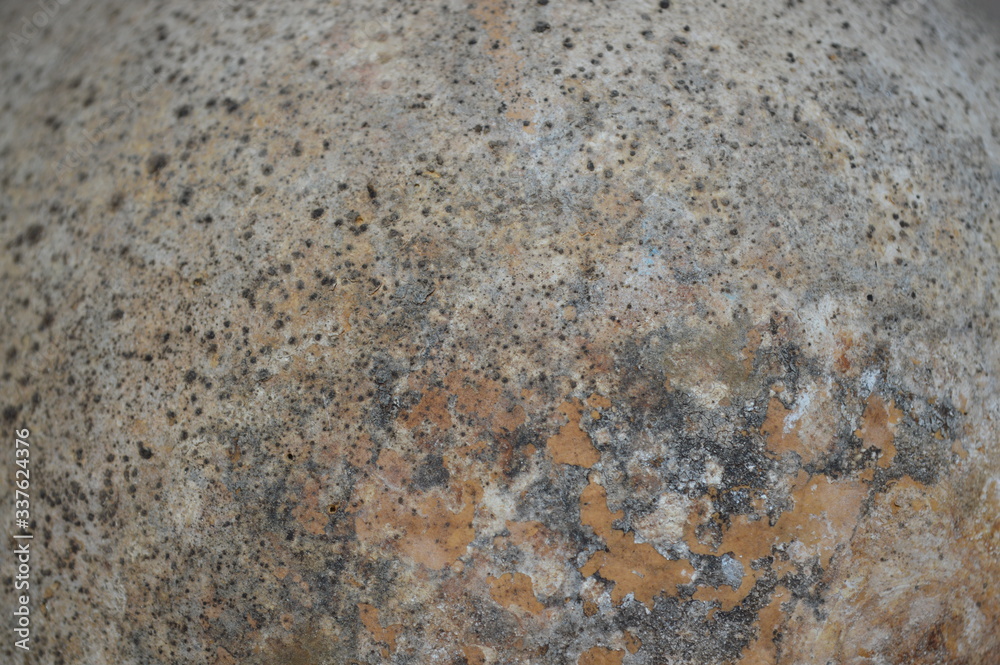 The patterned flooring of the large hard-shelled fruit is dried in the sun. The patterned flooring of the large hard-shelled fruit is dried in the sun.