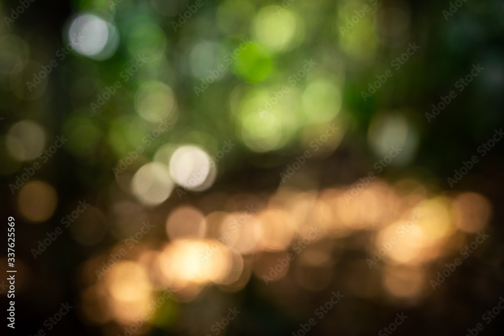 Blurry light and green leaves in defocusing technique. Blurry light and green leaves in defocusing technique.